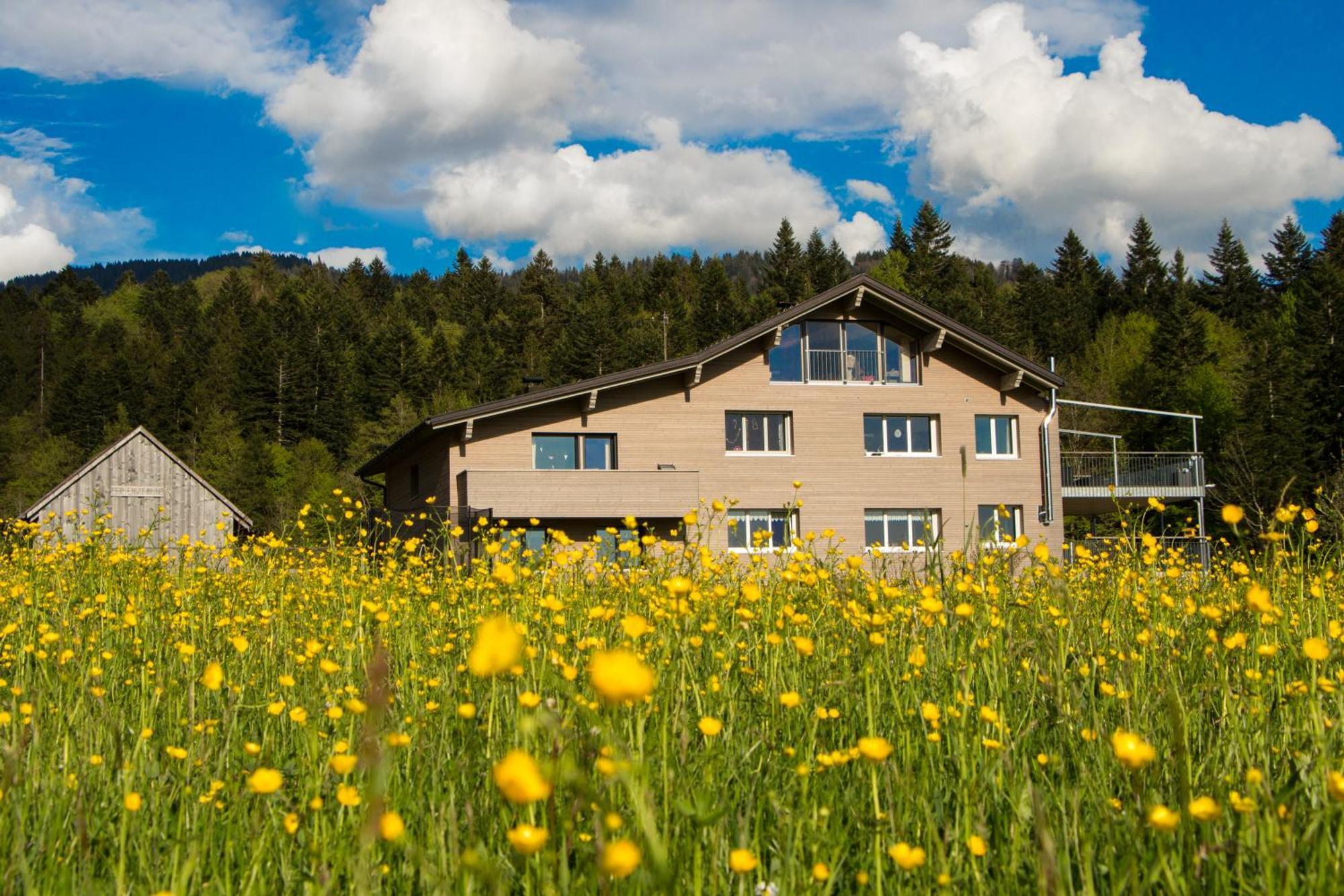 Haus Feurstein Daire Hittisau Dış mekan fotoğraf