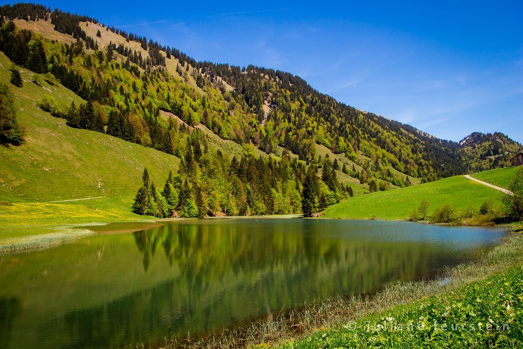 Haus Feurstein Daire Hittisau Dış mekan fotoğraf