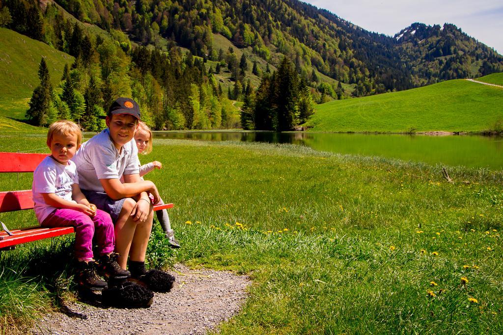 Haus Feurstein Daire Hittisau Dış mekan fotoğraf