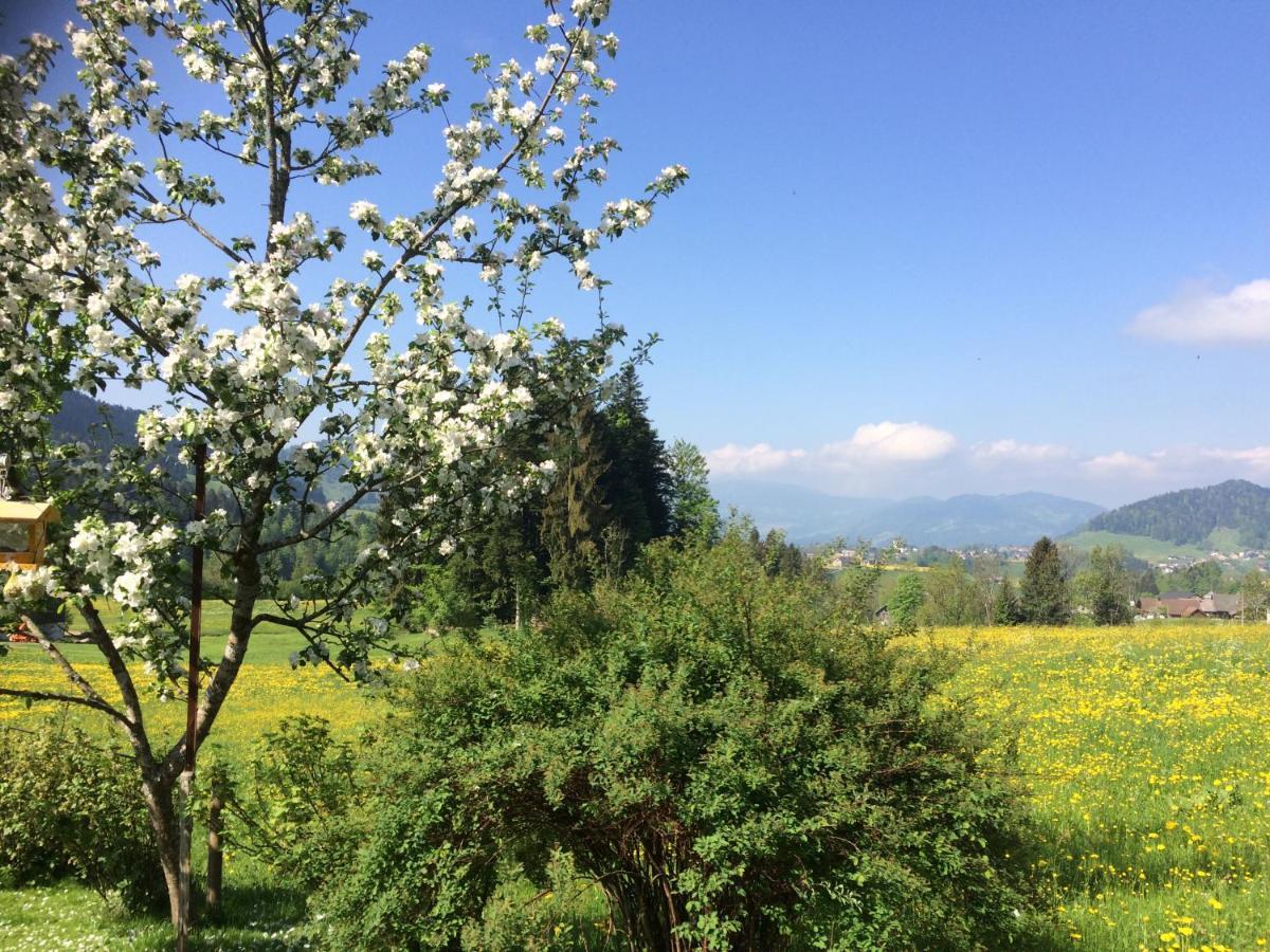 Haus Feurstein Daire Hittisau Dış mekan fotoğraf